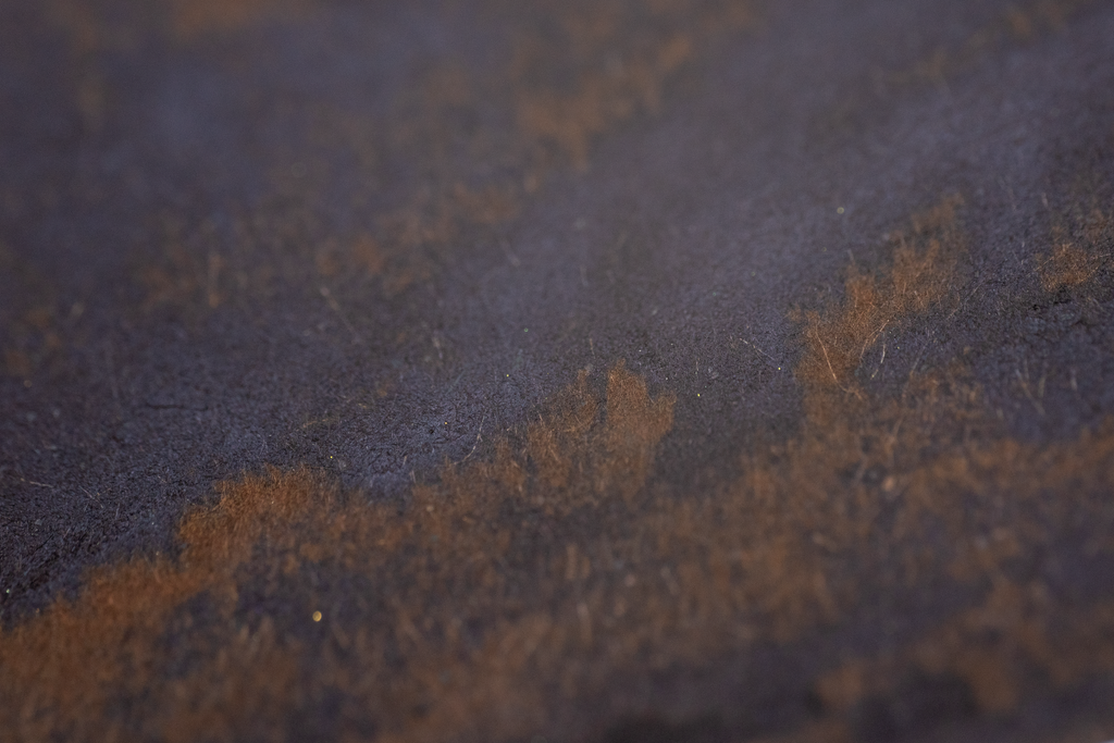 Rogue - Hidden Shadows