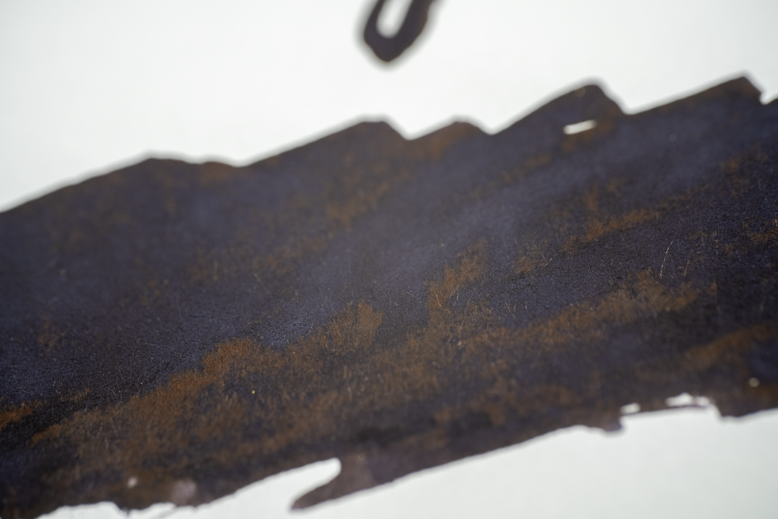 Rogue - Hidden Shadows