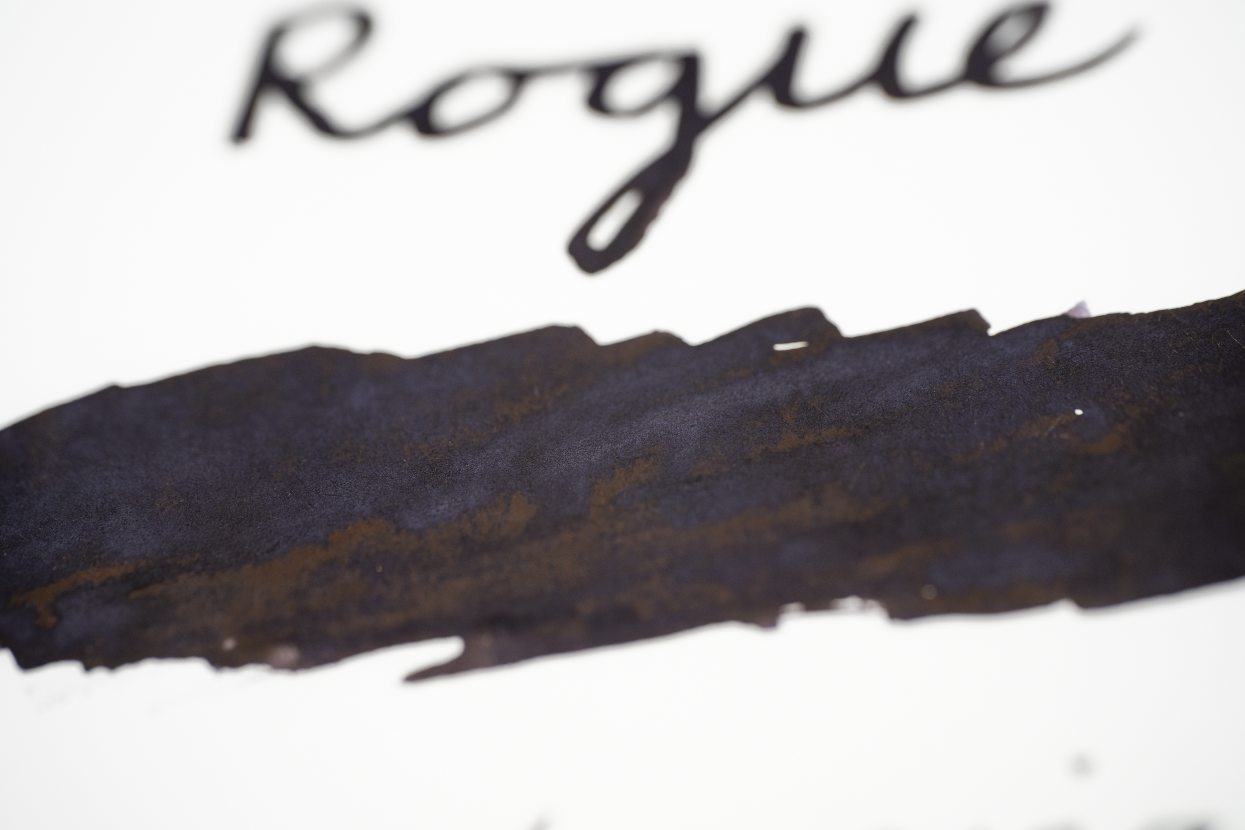 Rogue - Hidden Shadows